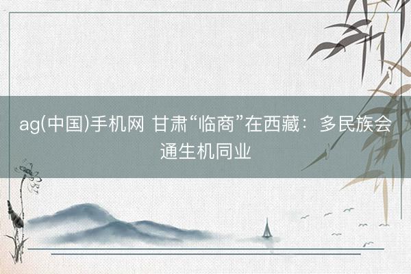 ag(中国)手机网 甘肃“临商”在西藏：多民族会通生机同业