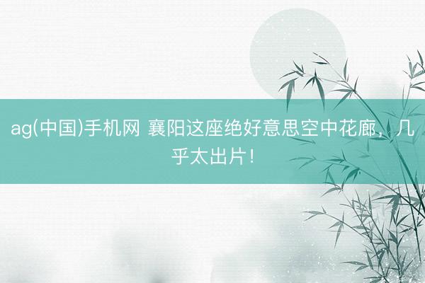 ag(中国)手机网 襄阳这座绝好意思空中花廊，几乎太出片！