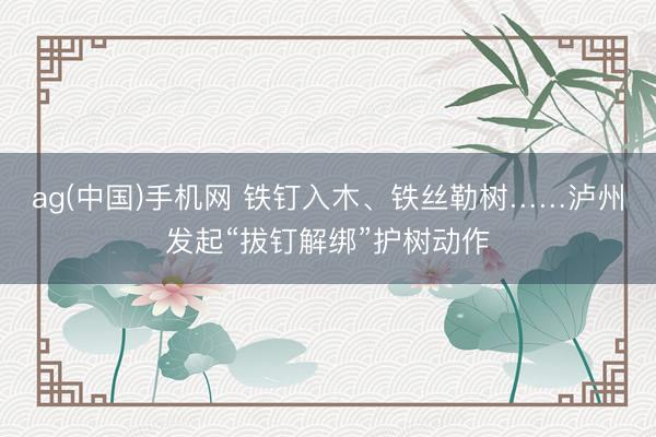ag(中国)手机网 铁钉入木、铁丝勒树……泸州发起“拔钉解绑”护树动作