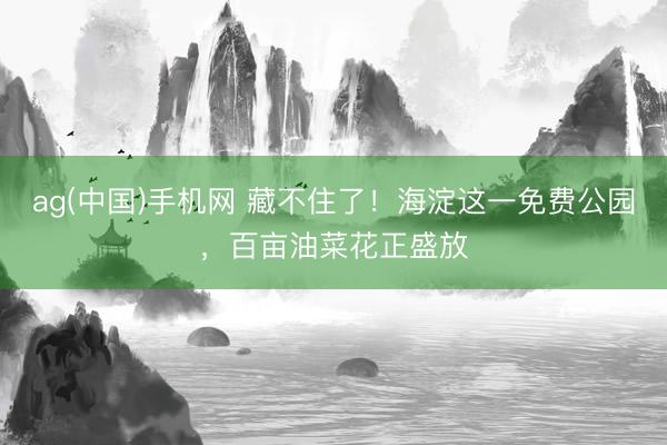ag(中国)手机网 藏不住了！海淀这一免费公园，百亩油菜花正盛放
