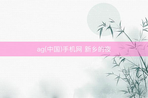 ag(中国)手机网 新乡的夜