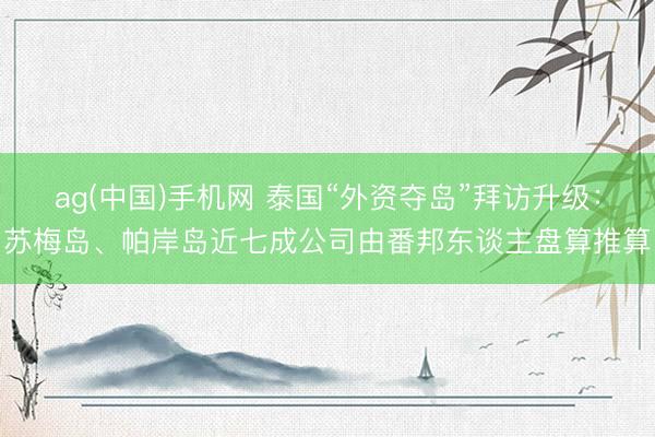 ag(中国)手机网 泰国“外资夺岛”拜访升级：苏梅岛、帕岸岛近七成公司由番邦东谈主盘算推算