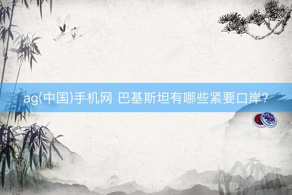 ag(中国)手机网 巴基斯坦有哪些紧要口岸？