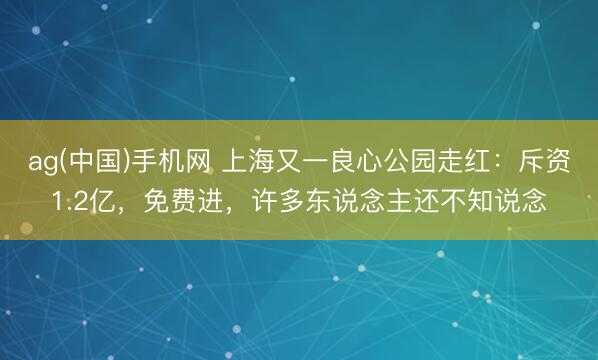 ag(中国)手机网 上海又一良心公园走红：斥资1.2亿，免费进，许多东说念主还不知说念
