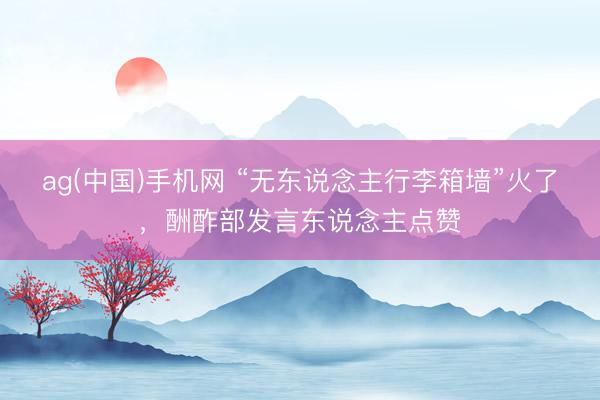 ag(中国)手机网 “无东说念主行李箱墙”火了，酬酢部发言东说念主点赞