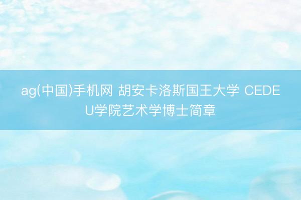 ag(中国)手机网 胡安卡洛斯国王大学 CEDEU学院艺术学博士简章