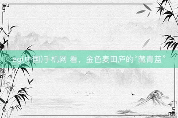 ag(中国)手机网 看，金色麦田庐的“藏青蓝”