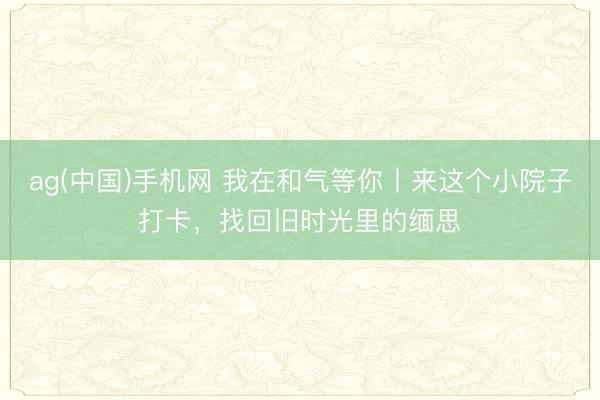 ag(中国)手机网 我在和气等你丨来这个小院子打卡，找回旧时光里的缅思