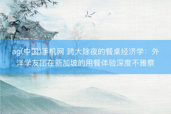 ag(中国)手机网 跨大除夜的餐桌经济学：外洋学友团在新加坡的用餐体验深度不雅察