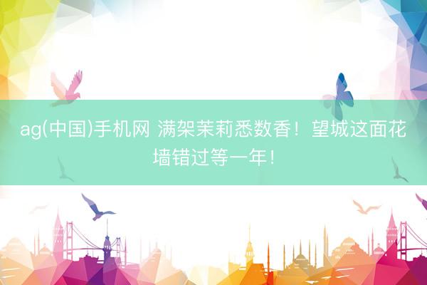 ag(中国)手机网 满架茉莉悉数香！望城这面花墙错过等一年！