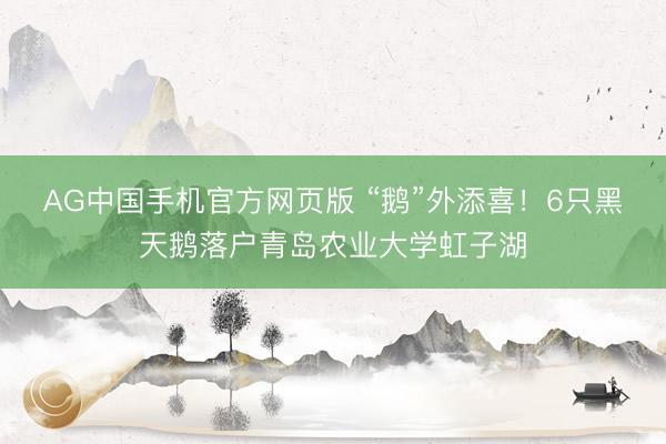 AG中国手机官方网页版 “鹅”外添喜！6只黑天鹅落户青岛农业大学虹子湖
