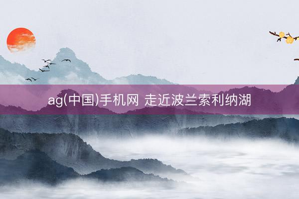 ag(中国)手机网 走近波兰索利纳湖