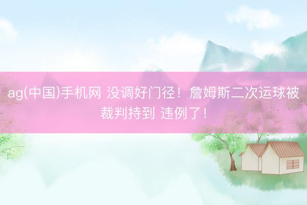 ag(中国)手机网 没调好门径！詹姆斯二次运球被裁判持到 违例了！