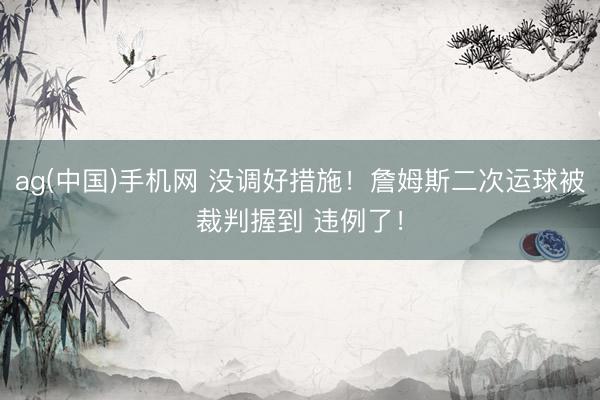 ag(中国)手机网 没调好措施！詹姆斯二次运球被裁判握到 违例了！