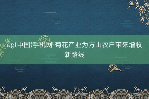 ag(中国)手机网 菊花产业为方山农户带来增收新路线