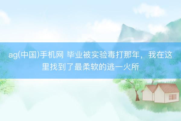 ag(中国)手机网 毕业被实验毒打那年，我在这里找到了最柔软的逃一火所