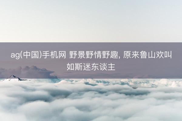 ag(中国)手机网 野景野情野趣， 原来鲁山欢叫如斯迷东谈主