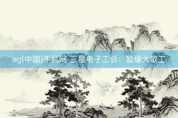 ag(中国)手机网 三星电子工会：暂缓大歇工