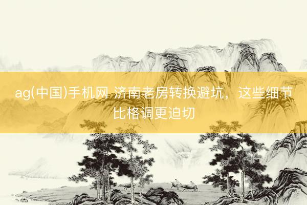 ag(中国)手机网 济南老房转换避坑，这些细节比格调更迫切