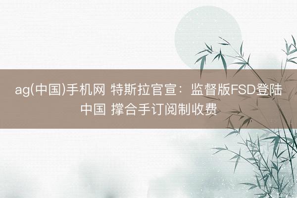 ag(中国)手机网 特斯拉官宣：监督版FSD登陆中国 撑合手订阅制收费