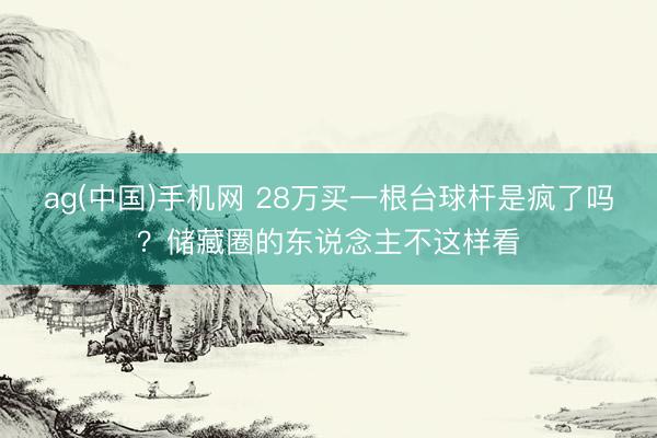 ag(中国)手机网 28万买一根台球杆是疯了吗？储藏圈的东说念主不这样看