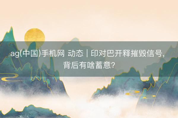 ag(中国)手机网 动态 | 印对巴开释摧毁信号， 背后有啥蓄意?