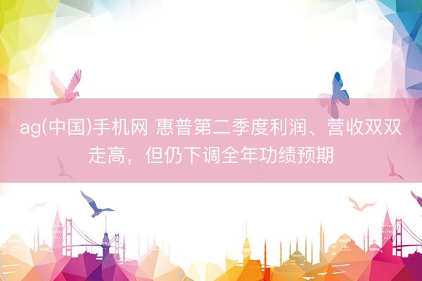 ag(中国)手机网 惠普第二季度利润、营收双双走高，但仍下调全年功绩预期