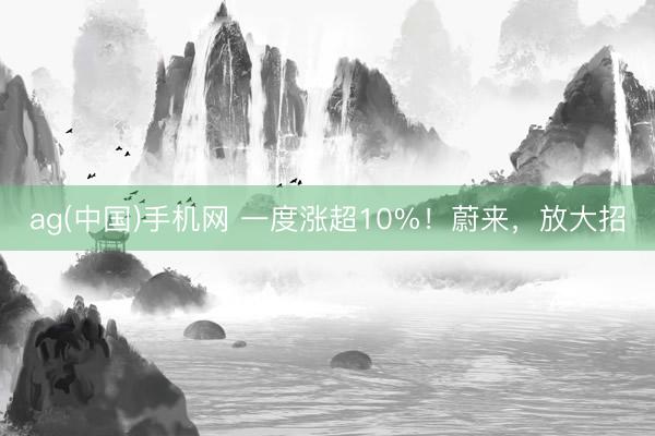 ag(中国)手机网 一度涨超10%！蔚来，放大招