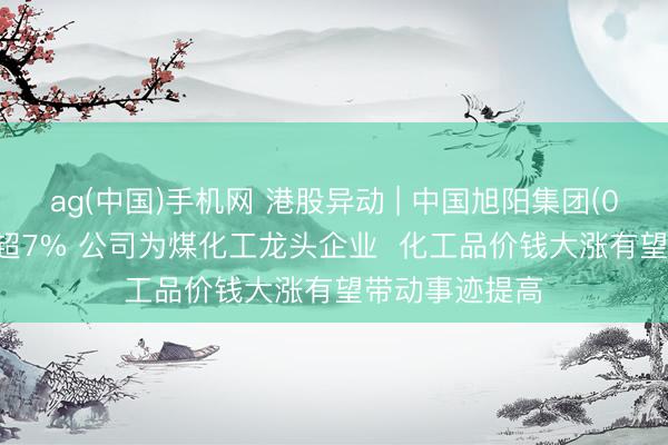 ag(中国)手机网 港股异动 | 中国旭阳集团(01907)午后涨超7% 公司为煤化工龙头企业  化工品价钱大涨有望带动事迹提高