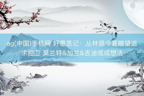 ag(中国)手机网 好意思记:丛林狼今夏瞻望追求控卫 莫兰特&加兰&吉迪或成想法