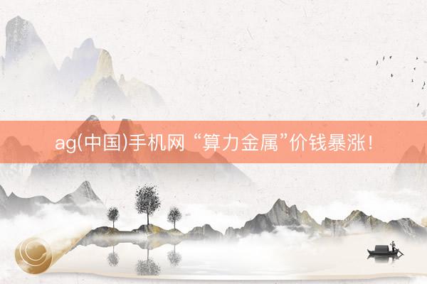 ag(中国)手机网 “算力金属”价钱暴涨！