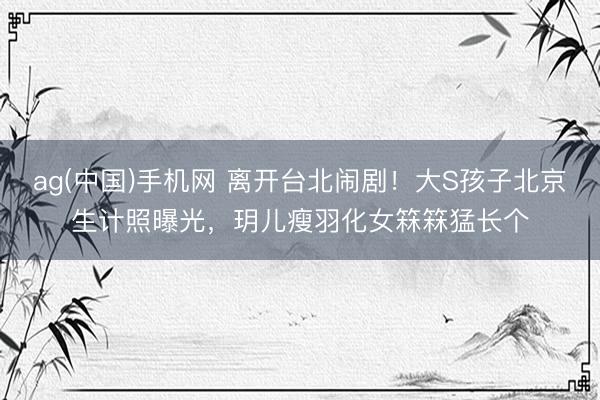 ag(中国)手机网 离开台北闹剧!大S孩子北京生计照曝光,玥儿瘦羽化女箖箖猛长个