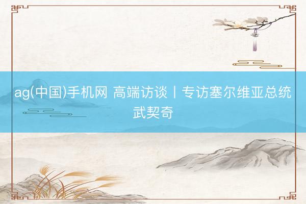 ag(中国)手机网 高端访谈丨专访塞尔维亚总统武契奇