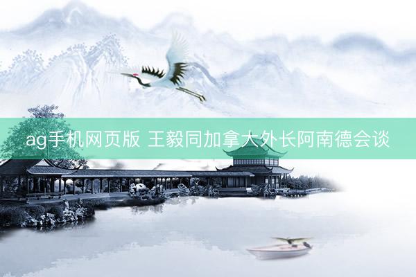 ag手机网页版 王毅同加拿大外长阿南德会谈