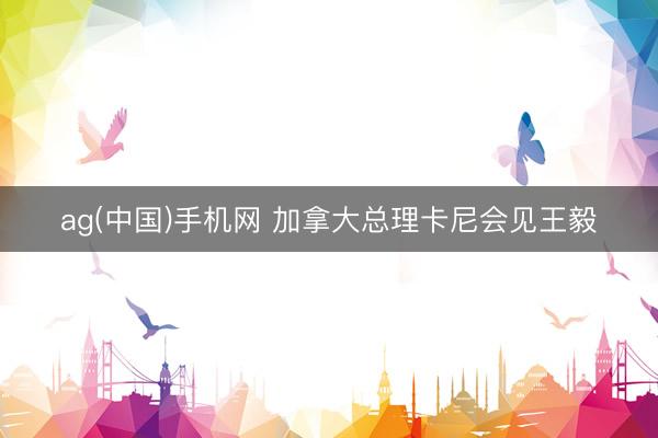 ag(中国)手机网 加拿大总理卡尼会见王毅