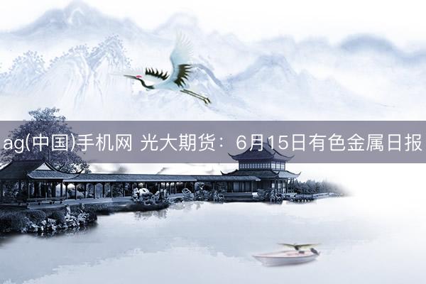 ag(中国)手机网 光大期货：6月15日有色金属日报