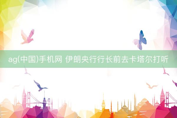 ag(中国)手机网 伊朗央行行长前去卡塔尔打听