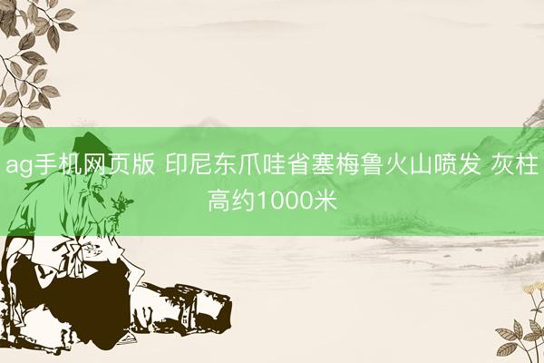 ag手机网页版 印尼东爪哇省塞梅鲁火山喷发 灰柱高约1000米