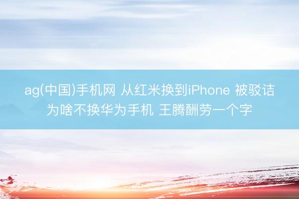 ag(中国)手机网 从红米换到iPhone 被驳诘为啥不换华为手机 王腾酬劳一个字