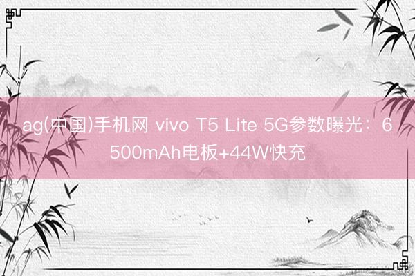 ag(中国)手机网 vivo T5 Lite 5G参数曝光：6500mAh电板+44W快充
