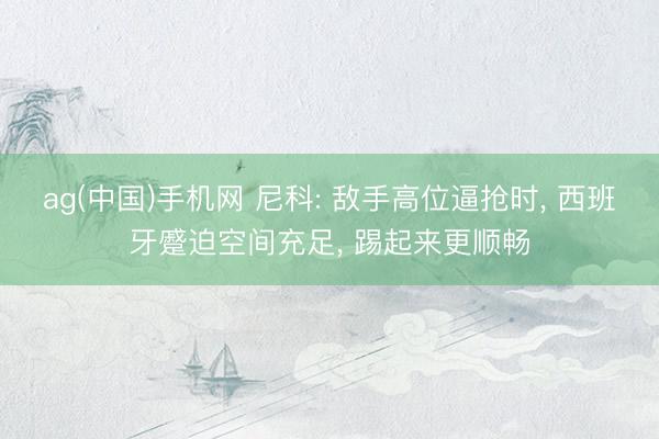 ag(中国)手机网 尼科: 敌手高位逼抢时, 西班牙蹙迫空间充足, 踢起来更顺畅