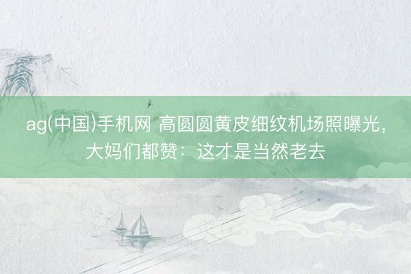 ag(中国)手机网 高圆圆黄皮细纹机场照曝光,大妈们都赞:这才是当然老去
